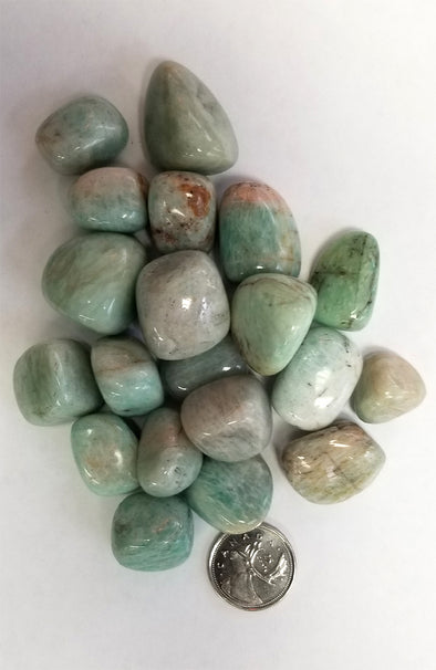 Tumbled Gemstones - Amazonite