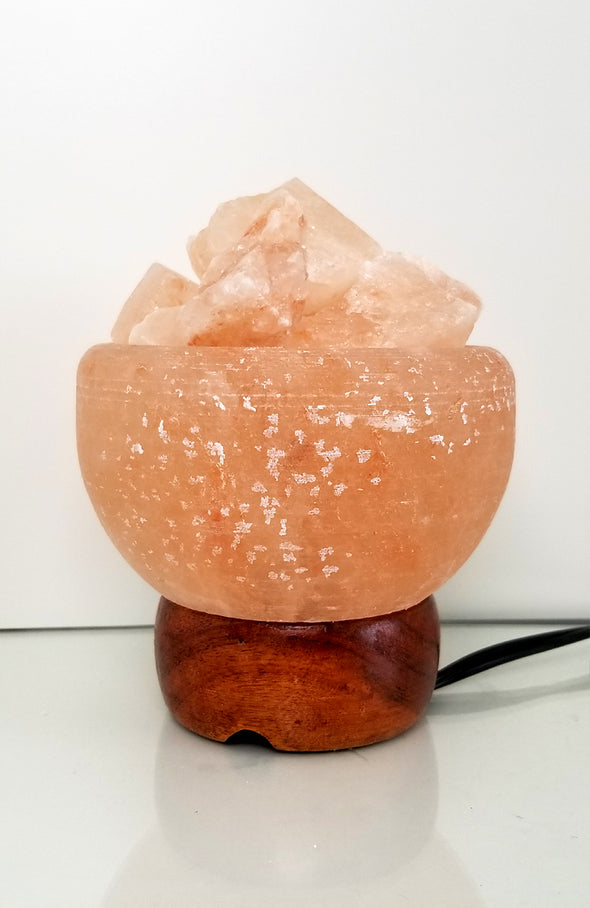 Himalayan Salt Lamp ~ Carved 5" Firebowl