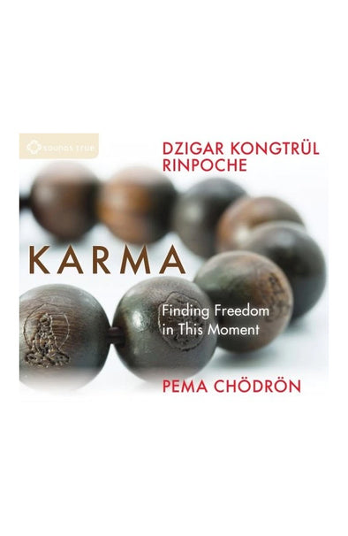 Audio Book - Pema Chodron: Karma with Dzigar Kongtrul Rinpoche