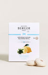 Maison Berger Set of 2 Car Diffuser Refills - Zest of Verbena