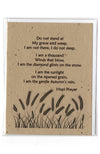 Plantable Greeting Card ~ Sympathy: Do not stand at my grave