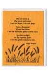 Plantable Greeting Card ~ Sympathy: Do not stand at my grave