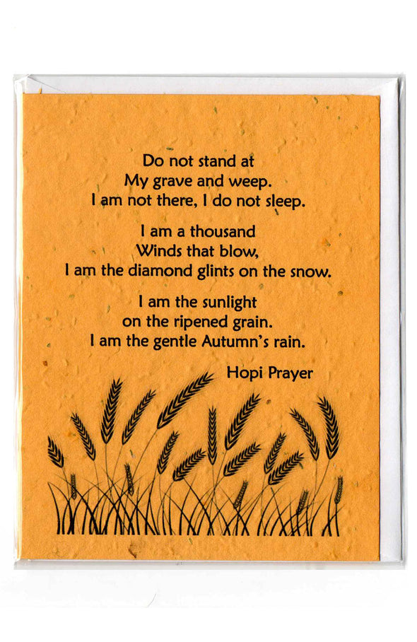 Plantable Greeting Card ~ Sympathy: Do not stand at my grave