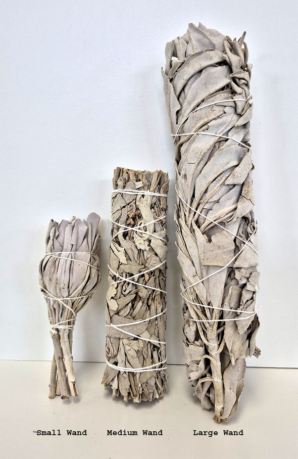 California White Sage - Medium