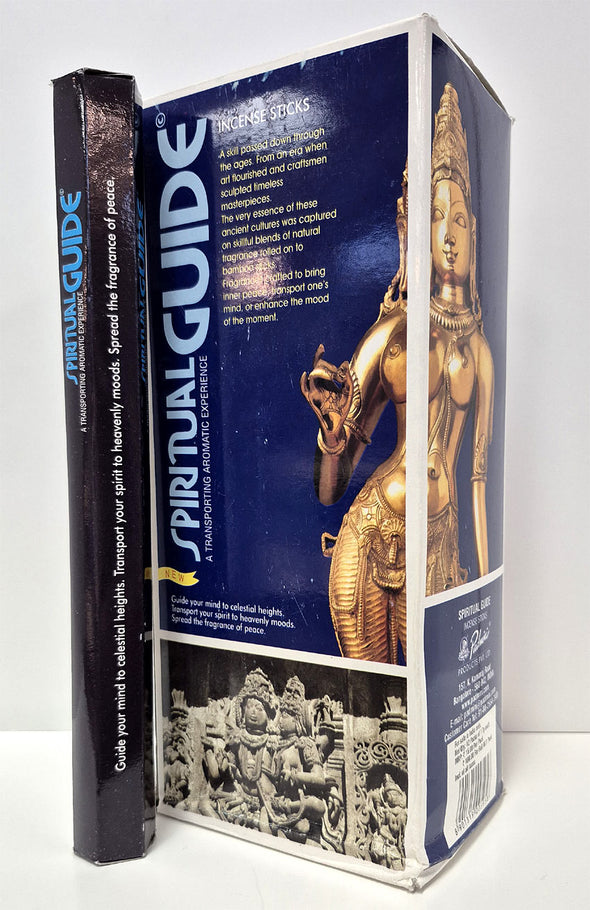 PADMINI Incense Hex Tube 12 Sticks - Spiritual Guide