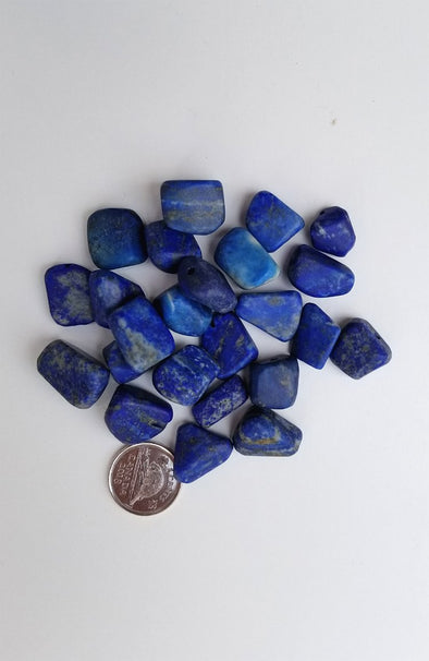Tumbled Gemstones - Lapis Lazuli (drilled ; small)