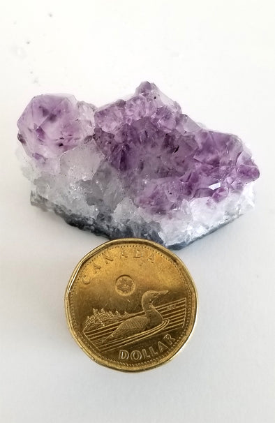 Rough Gemstones - Small Amethyst Cluster 03