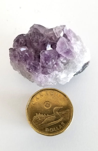 Rough Gemstones - Small Amethyst Cluster 05