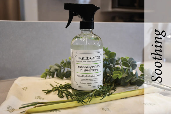 Natural Cleaning - Eucalyptus Euphoria Multi-Surface Cleaner