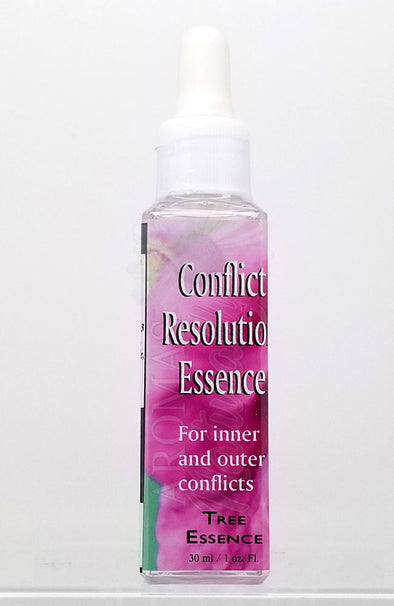 Conflict Resolution Essence