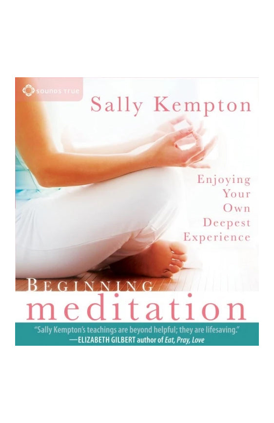Audio Book - Sally Kempton: Beginning Meditation - Enjoying Your Own Deepest Experience