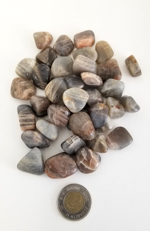 Tumbled Gemstones - Black Moonstone