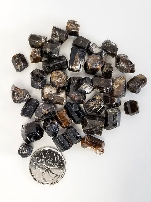 Rough Gemstones - Dravite (Brown Tourmaline)