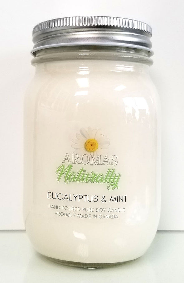 Pure Soy Wax Candle - Eucalyptus & Mint