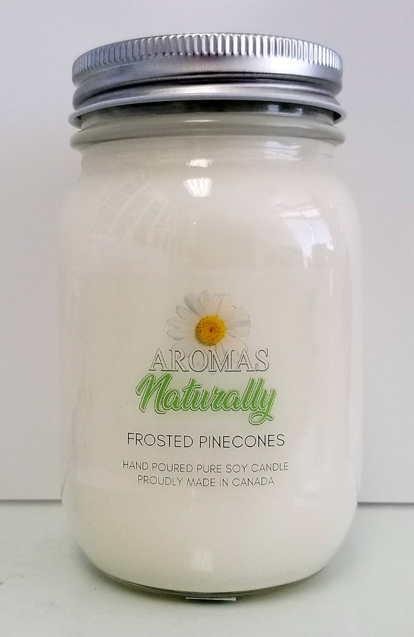 Pure Soy Wax Candle - Frosted Pine Cones