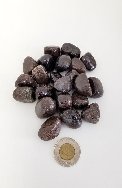 Tumbled Gemstones - Garnet Medium