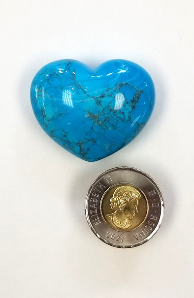 Polished Gemstones - Dyed Howlite Heart (Turquoise Colour)