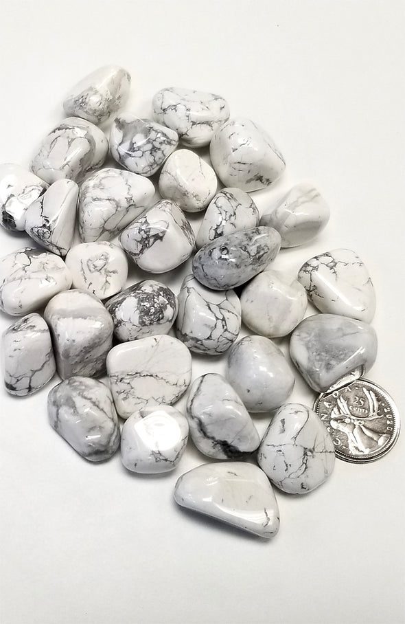 Tumbled Gemstones - Howlite (large)