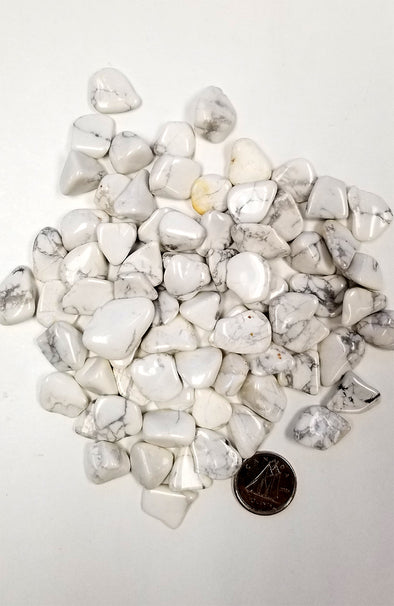 Tumbled Gemstones - Howlite (Small)