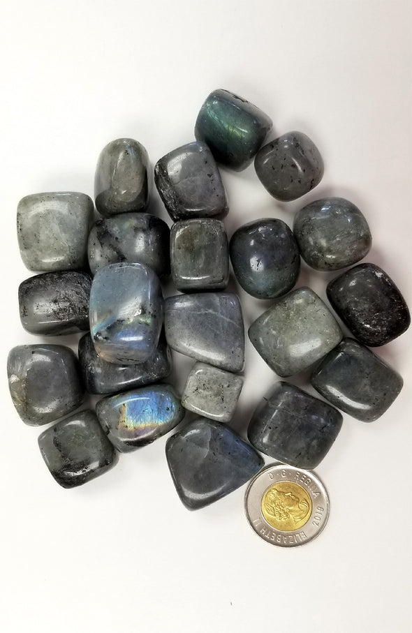 Tumbled Gemstones - Labradorite (Extra Large)