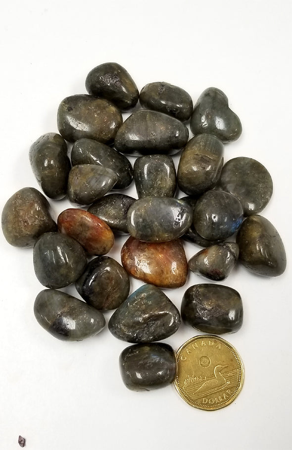 Tumbled Gemstones - Labradorite