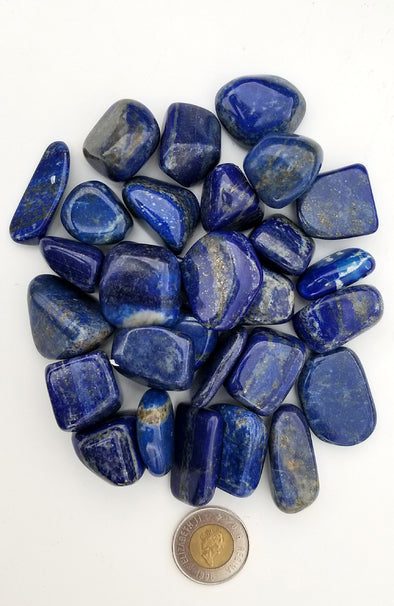 Tumbled Gemstones - Lapis Lazuli (Premium Large)