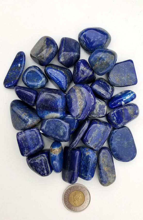Tumbled Gemstones - Lapis Lazuli (Premium Large)