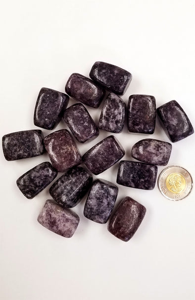 Tumbled Gemstones - Lepidolite (Extra Large)