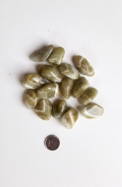 Tumbled Gemstones - Prasiolite (Medium)