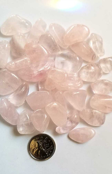 Tumbled Gemstones - Rose Quartz